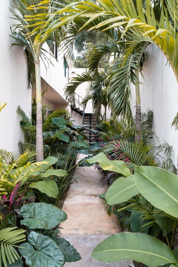 Mayanah Bacalar Exterior photo